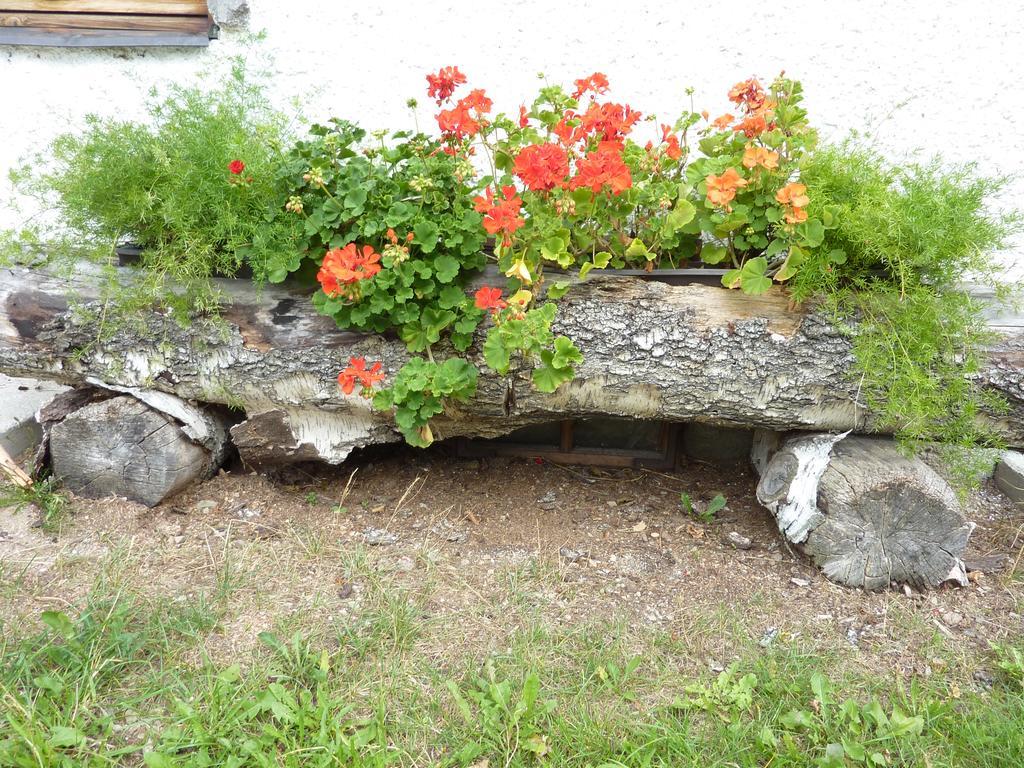 Bio-Bauernhof Rettenbachgut Верфен Екстериор снимка